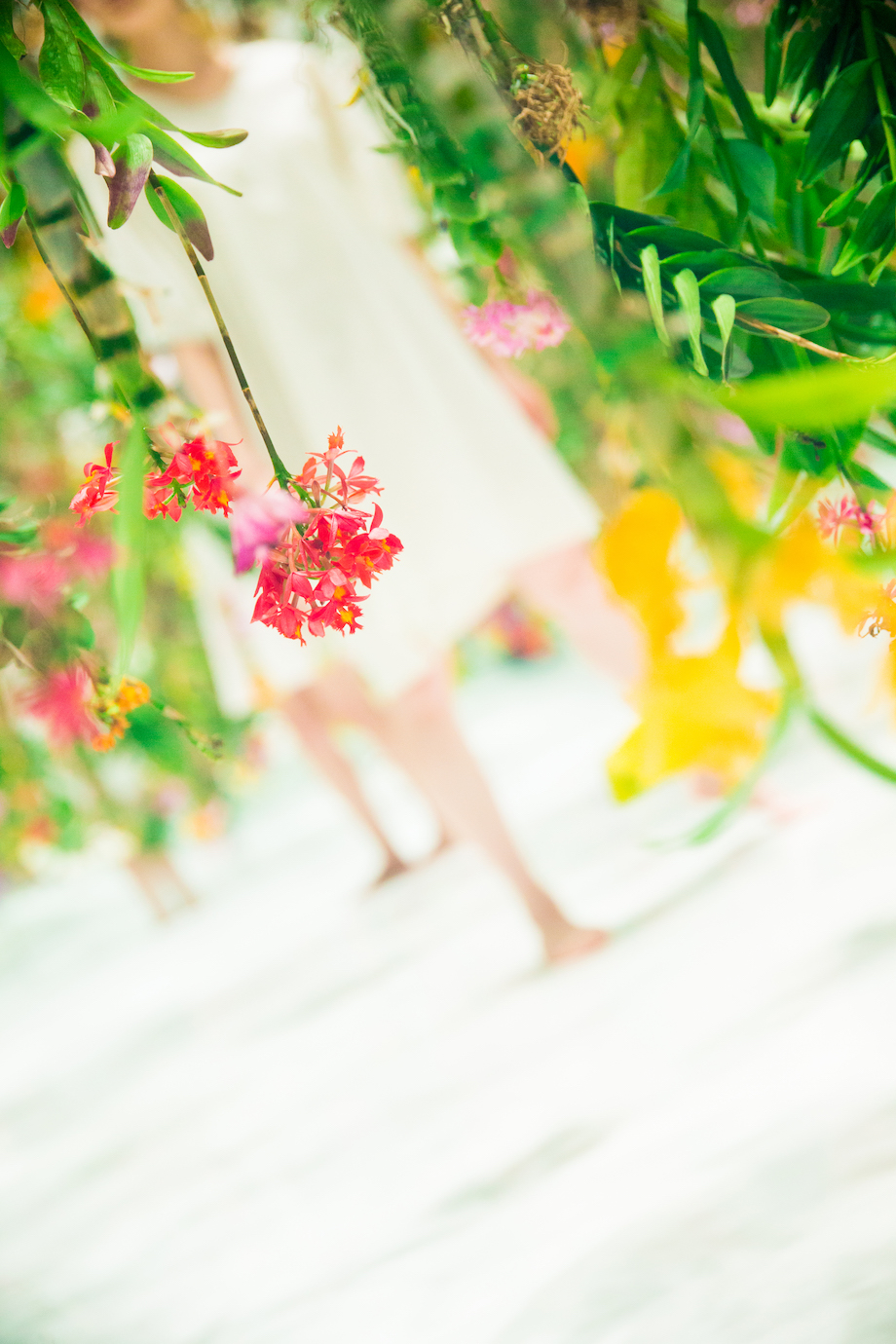 Floating Flower Garden, a stunning interactive installation of 2,300 suspended flowers by TeamLab.