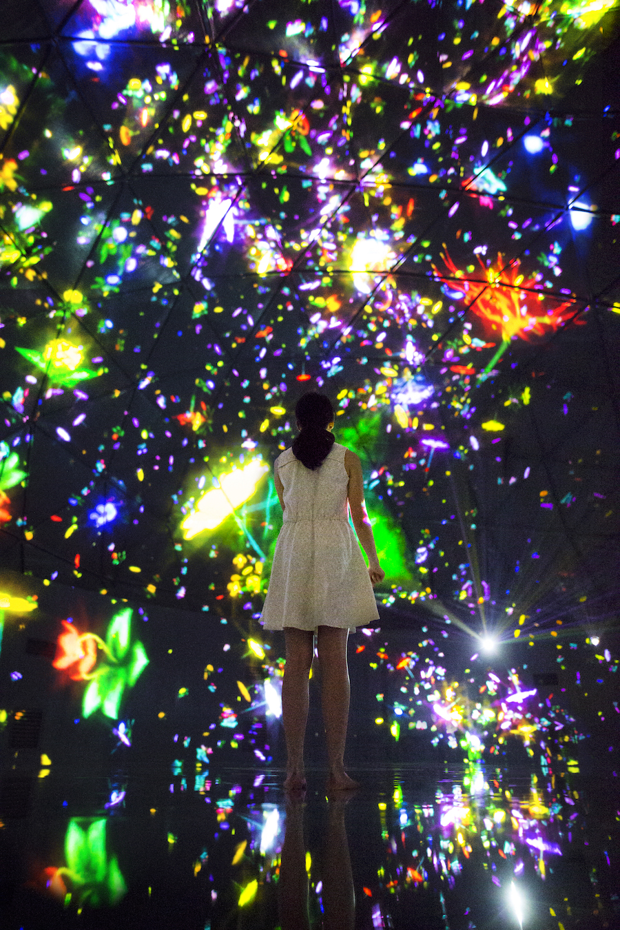 Floating in the Falling Universe of Flowers by TeamLab
