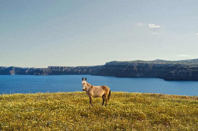 Photographer Petros Koublis describes the Santorini that he captures as the “equivalent of a dream”—which is exactly what it feels like to view his photographs—like looking through the lens of a dream.