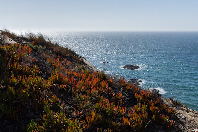 Zambujeira do Mar, Portugal-15