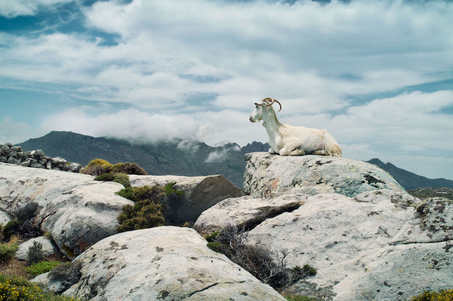 Beautiful Photographs of Tinos by Petros Koublis