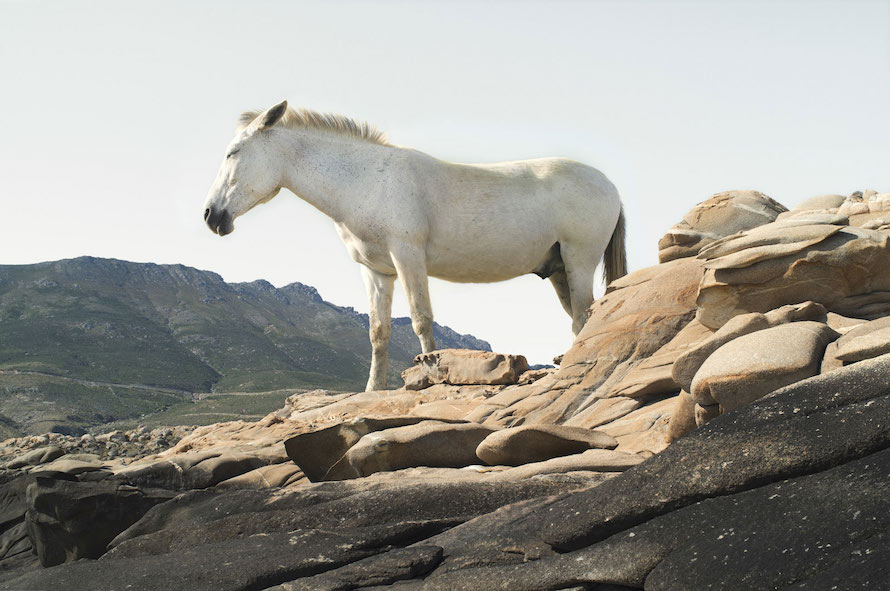 Beautiful Photographs of Tinos by Petros Koublis