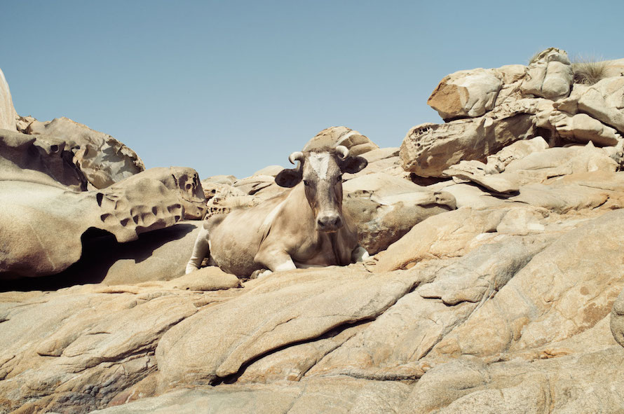 Beautiful Photographs of Tinos by Petros Koublis