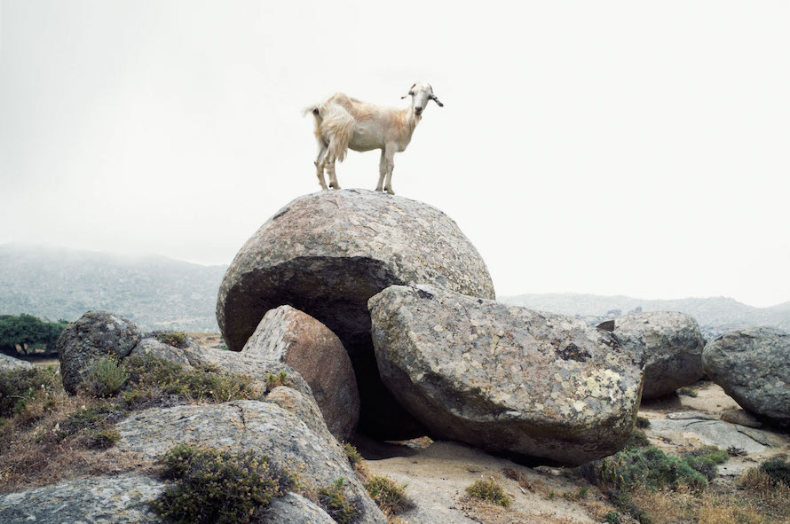 Beautiful Photographs of Tinos by Petros Koublis