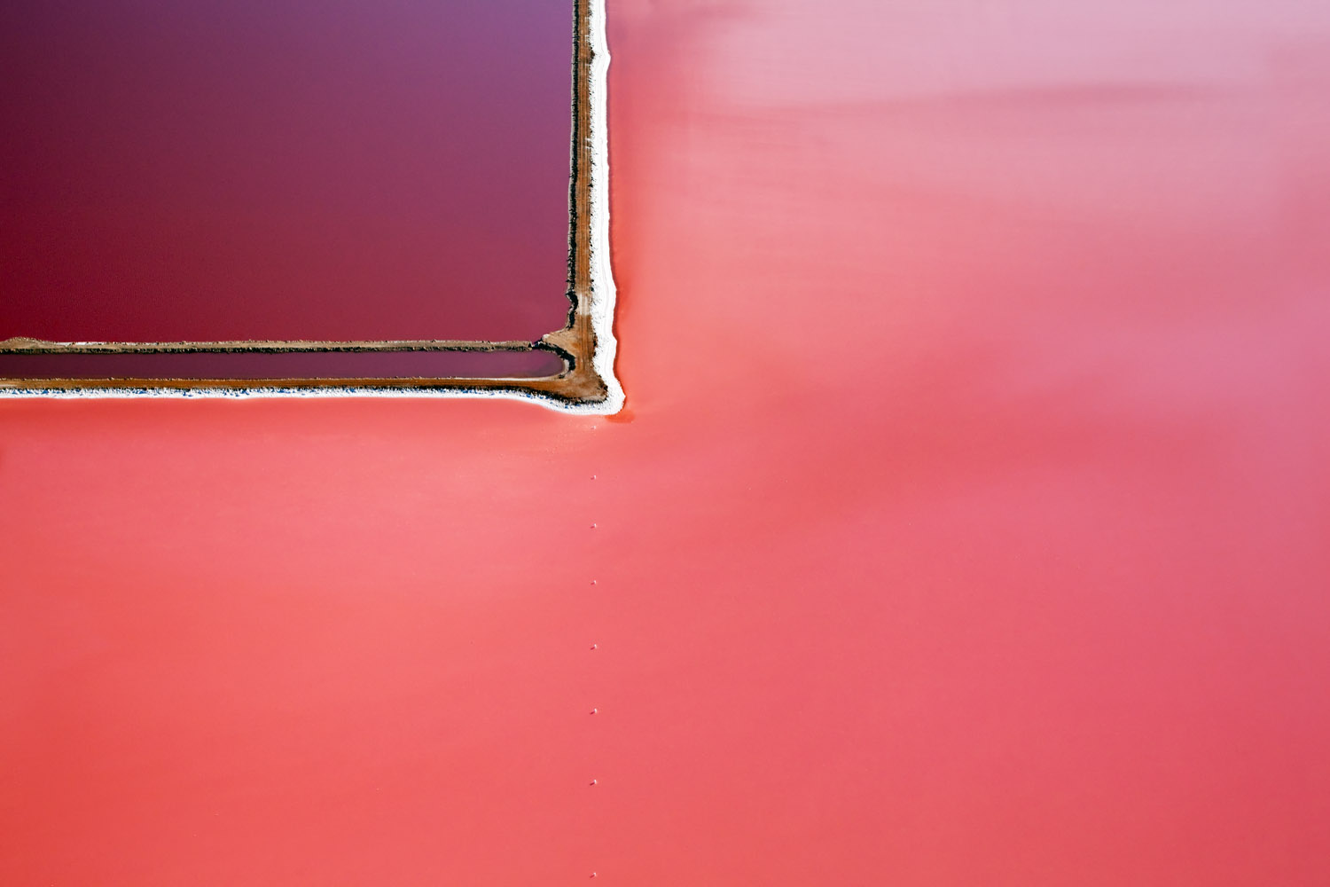 Incredible Aerial Photographs of the Hutt Lagoon by Steve Back